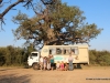 affenbrotbaum-mahango-nationalpark