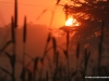 sonnenuntergang-mahango-nationalpark