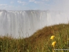 viktoriafaelle-in-sambia