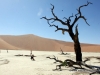 73_dead_vlei