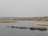 elefanten-im-fluss2-elephants-across-the-river2