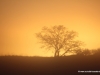 sonnenaufgang-kalahari
