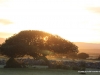 sonnenuntergang-de-hoop