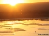 sonnenuntergang-westkueste