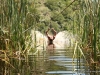 garden-route-11