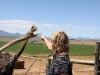 garden-route-12