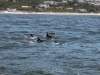 garden-route-20