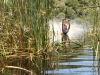 garden-route-7