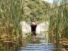 garden-route-9