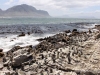 garden-route