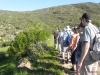cederberg
