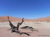 deadvlei