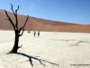dead-vlei