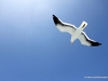 moewe-walvis-bay