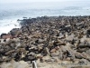 capecross_3