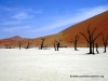 deadvlei_4
