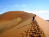 dune_1