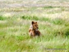 etosha_13
