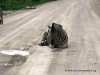 etosha_15
