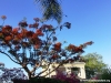 baum-tree