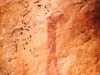buschmannzeichnung-bushmann-paintings