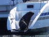 dolphin-cruise-2