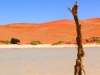 sossusvlei