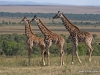 klassisches-tanzania-10