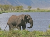 klassisches-tanzania-11