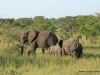 klassisches-tanzania-12