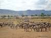 klassisches-tanzania-18