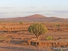 klassisches-tanzania-4