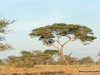 klassisches-tanzania