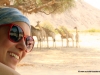 giraffen-hoanib