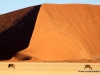 oryx-namib-naukluft-nationalpark