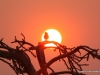 palmwag-sonnenuntergang