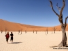 sossusvlei