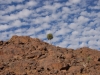 orange-river-10