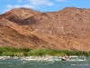 rapid-orange-river