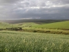overberg-wheatfields
