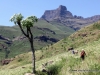 amphitheatre_drakensberge_2