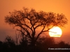 sonnenuntergangsunset