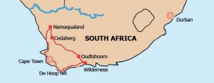 Flora of the Cape