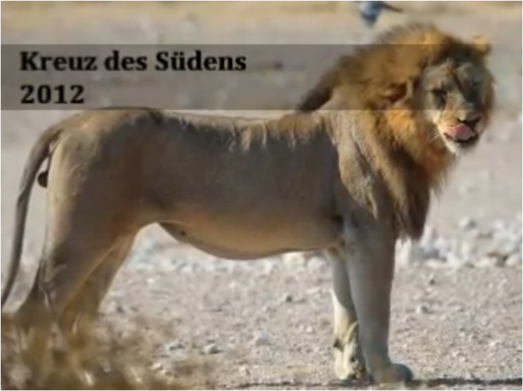 Kreuz des Südens