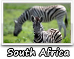South Africa