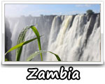 Zambia