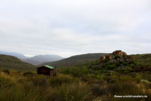 Gecko-Creek-Cederberge-Suedafrika