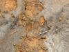 duma-sa-2012-footprints