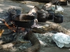 kochen-in-der-wildnis-von-okavango-delta
