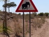 vorsicht-elefanten